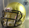 St. Vincent - St. Mary's Fighting Irish HS 2012 (OH) STATE CHAMPS 